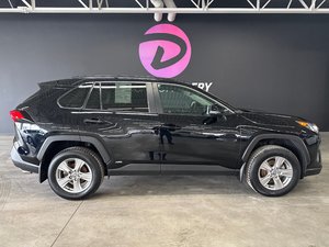 Toyota RAV4 Hybrid LE 2024