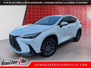 Lexus NX NX 250 2022