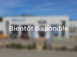 Ford Escape SE 2017