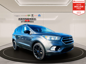 Ford ESCAPE SE  2017