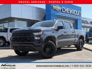 2023 Chevrolet Silverado 1500 CUSTOM TRAILBOSS V8 5.3L CREW CAB