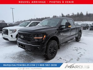Ford F-150 XLT 303A CUIR TOIT OUVRANT 3.5L 2024