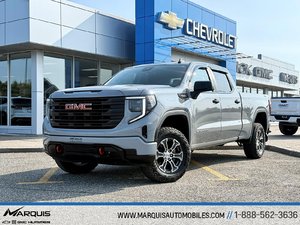 GMC Sierra 1500 PRO V8 5.3L LIFT 2 POUCES CREW CAB 2024