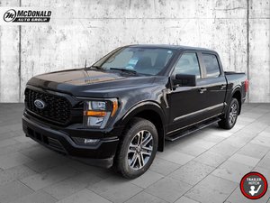 2023 Ford F-150 STX