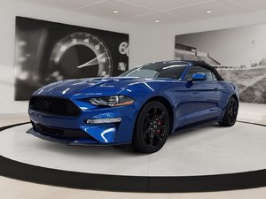 Ford Mustang EcoBoost Convertible 2018