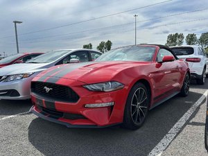 Ford Mustang EcoBoost Convertible 2022