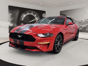 Ford Mustang EcoBoost Convertible 2022