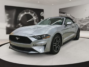Ford Mustang  2022