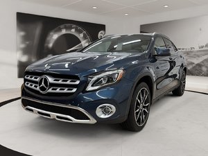 2019 Mercedes-Benz GLA GLA 250 4MATIC SUV