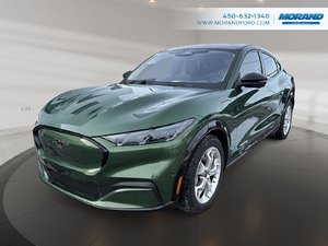 Ford Mustang Mach-E Premium 2024