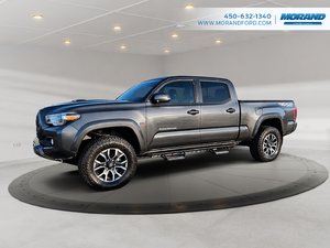 Toyota TACOMA DBL CAB SR5/TRD  2023