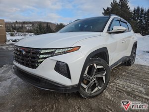 2023 Hyundai Tucson Hybrid Luxury hybrid AWD *CUIR, TOIT PANO, MAGS 19PO*