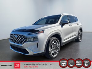 2021 Hyundai Santa Fe Hybrid Luxury