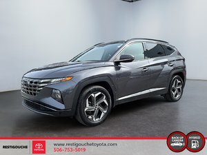 2022 Hyundai Tucson Hybrid Luxury