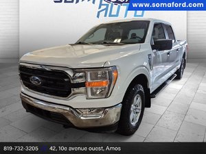 Ford F-150  2022