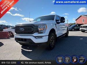 Ford F-150 XLT 2023