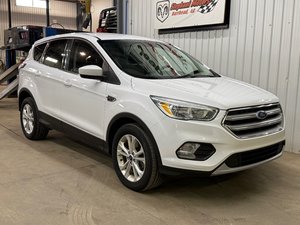 2017 Ford Escape SE 4x4