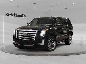 2020 Cadillac Escalade Platinum