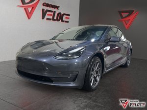 2023 Tesla Model 3 RWD STANDARD RANGE