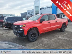 2020 Chevrolet Silverado 1500 CREW CAB 147 CUSTOM TRAIL BOSS 5.3L