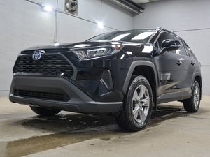 Toyota RAV4 Hybrid LE 2024