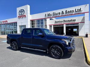 2024 Toyota Tundra Platinum