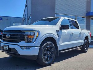 2023 Ford F-150 XLT  SPORT  302A