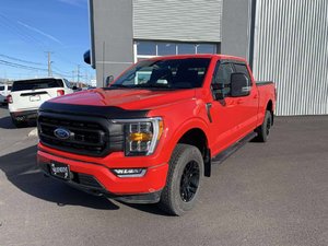2023 Ford F-150 XLT  SPORT 302A