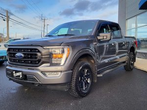 2023 Ford F-150 XLT  SPORT 302A