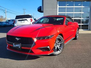 Ford Mustang EcoBoost Premium 2025