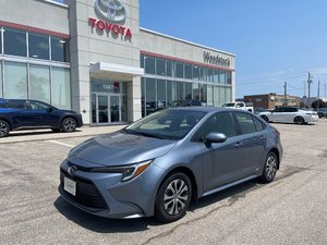 2024 Toyota Corolla