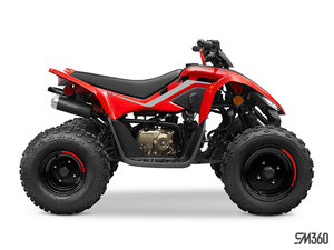 2024 CFMOTO CFORCE 110