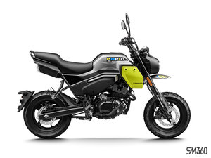 2024 CFMOTO PAPIO CL