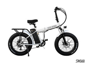 2024 Daymak MAX 48V