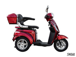 2024 Daymak ROADSTAR DELUXE