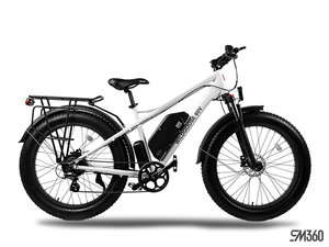 2024 Daymak WILD GOOSE 60V