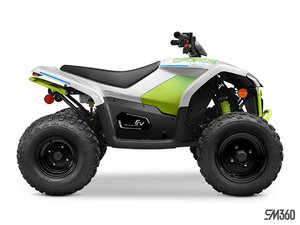 2025 CFMOTO CFORCE EV110