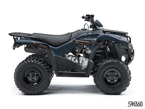 2025 Kawasaki BRUTE FORCE 300