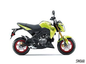 2026 Kawasaki Z125 PRO
