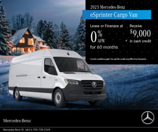 2025 eSprinter Cargo Van