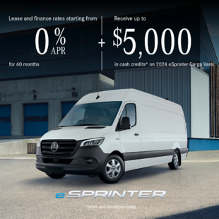 Offers that deliver - eSprinter for the month