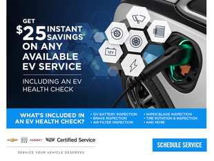 EV Health Check