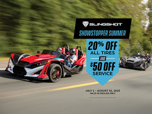 Alary Sport - Showstopper Summer