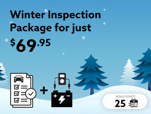 Choose the Winter Inspection package