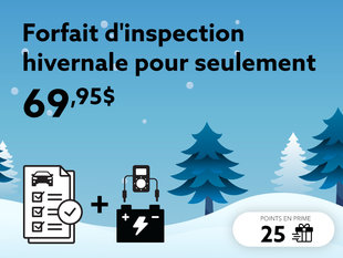 Choisissez le forfait d'inspection hivernale