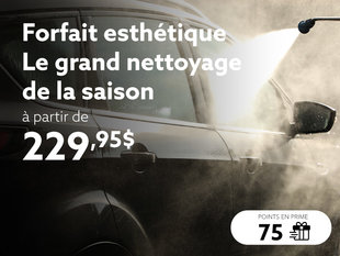 Profitez de notre forfait esthétique Grand nettoyage de la saison