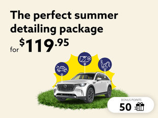 Summer is yours. Save now!