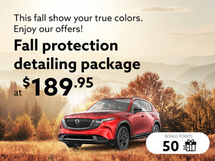 This fall show your true colors. Enjoy our offers!