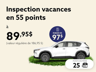 Partez l'esprit tranquille, avec l'inspection 55 points.