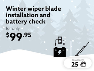 Winter-ready with a reliable start and perfect visibility